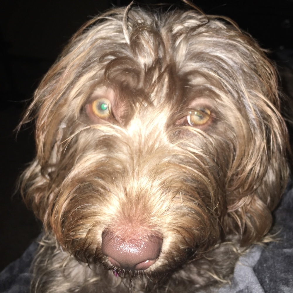 Some Pretty Things For You to Look at😊